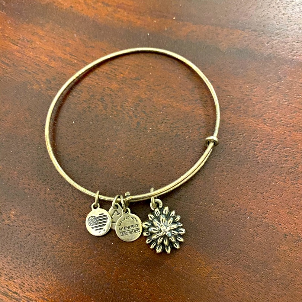Alex and Ani bracelet BUNDLE